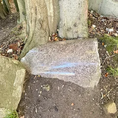 Liegende Säulentrommel aus Granit neben einem Baumstamm.
