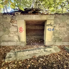 Zugang zu einem Kellerraum mit Ziegelgewölbe.