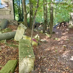 Verstreute, bearbeitete Steinblöcke zwischen Laub im Wald.