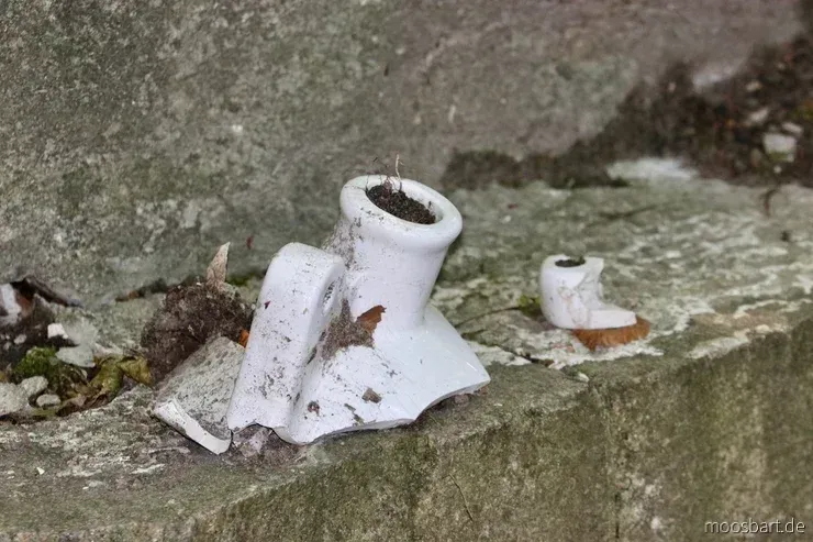 Verwitterte Porzellanreste zwischen Laub auf einer Steinstufe im Gelände.