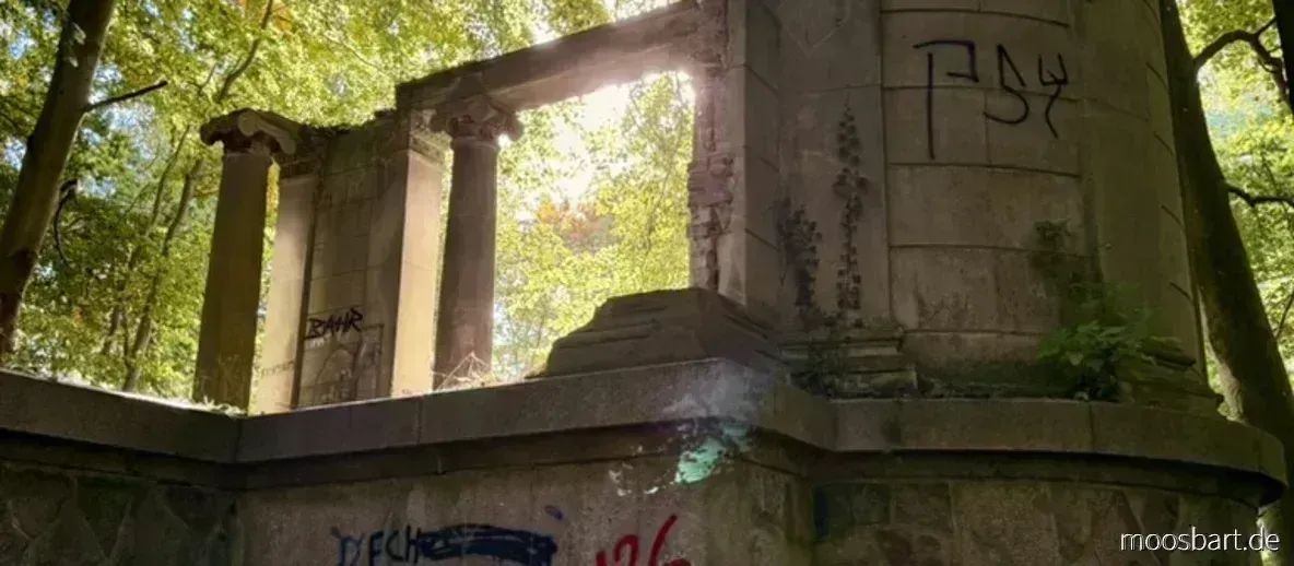 Sonnenbeschienene Säulen und Pavillonreste des Schlosses Dwasieden im herbstlichen Wald.